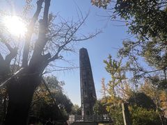 -上海佘山国家森林公园天马山园