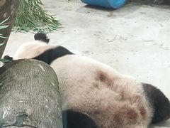 -杭州少年儿童公园