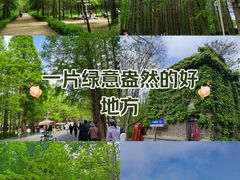 -日照海滨国家森林公园