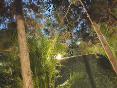 -Carmen卡门西班牙餐厅