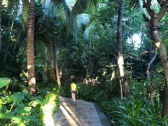 -三亚湾海居铂尔曼度假酒店