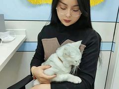 -中农国际动物医院24小时·猫科·骨科·急重症中心