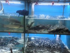 -老村长土菜馆(湖墅南路店)