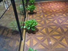 -臻本足道(武林壹号店)