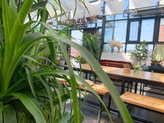 -北马山庄植趣咖啡
