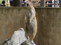 -合肥野生动物园