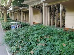 -徐家汇源景区-衡山公园