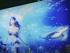 -苏州海洋馆