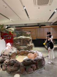 -造物庄园 萌宠纪(苏州湾歌林公园店)