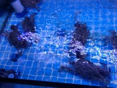 -面道赞宁海海鲜面(迎凤街店)