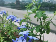 -忆咖啡观景餐厅(桂林象山公园店)