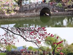 -无锡蠡湖国家湿地公园-蠡园