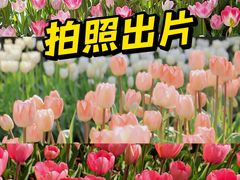 -上海山野camping·户外天幕烧烤·团建拓展营地