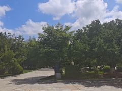 -长春世界雕塑园冰雪艺术天地