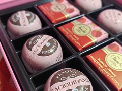 -VENCHI 闻绮(北京国贸商城店)