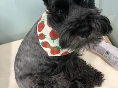 -宠福鑫康馨动物医院·骨科·眼科