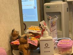-宠爱国际动物医院·疑难骨科·心肾内科·皮肤科(太阳宫店)