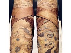 -巴音郭楞蒙古自治州博物馆