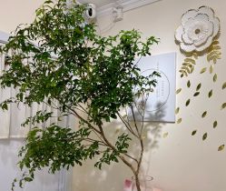-YCai简薇美甲美睫美妆