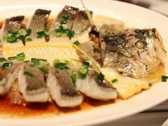 肉汁蒸东海大黄鱼-炳胜品味(海印总店)