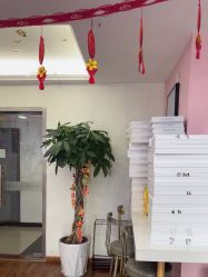 -成都苗方清颜专业祛痘