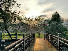 -红山村