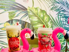 -Flamingo Bloom(TST /尖沙咀店)