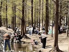 -白水寺森林公园