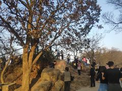 -紫金山山顶公园