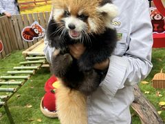 -常州淹城野生动物世界