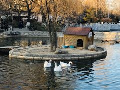 -北京市海淀外国语实验学校