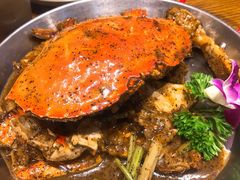 黑椒珍宝蟹-必点海鲜·鲅鱼水饺(鞍山西道店)