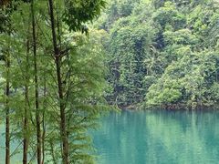 -鼎湖山风景区