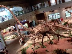-自贡恐龙博物馆