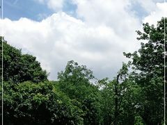 -松山湖梦幻百花洲