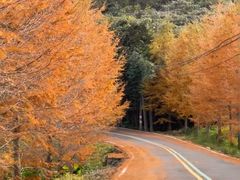 -福清灵石山国家森林公园