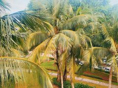 -石梅湾艾美度假酒店