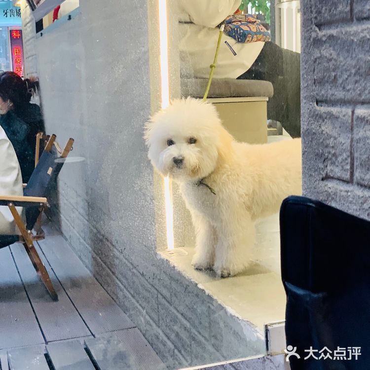 广州咖啡|☕️隔壁工坊·初,落地的实体店