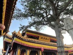 -五台山风景名胜区