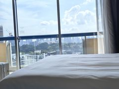 -新加坡瑞士史丹福酒店