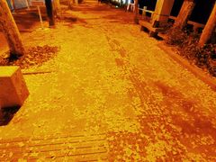 -苏州图书馆(人民路总馆)