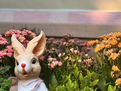 -后海16号·北京私房菜