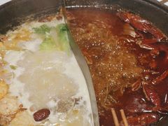 -朱光玉火锅馆(正弘城店)