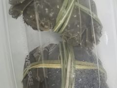 -品鲜村农家菜·阳澄湖大闸蟹(总店)