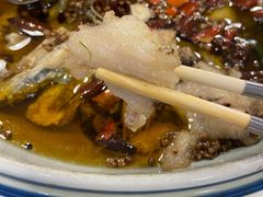 沸腾江团鱼-沸腾鱼家(大尧三路店)