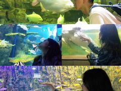 -石林冰雪海洋世界