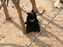 -石家庄市动物园