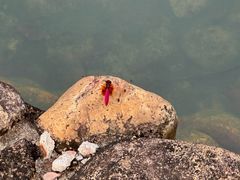 -江门古兜温泉小镇