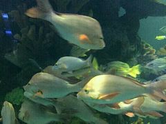 -多彩贵州城极地海洋世界