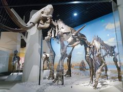 -国家自然博物馆